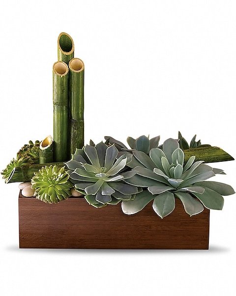 Succulent and cactus arrangement in wooden planter