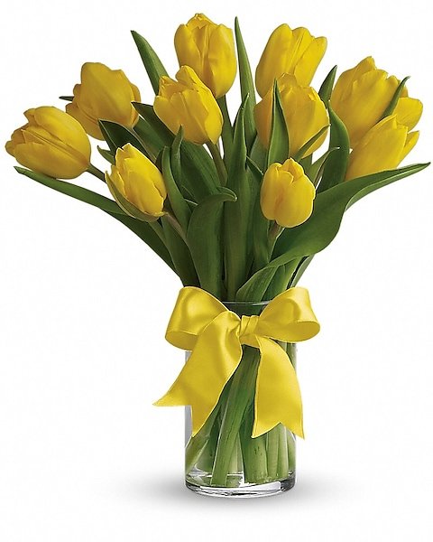 Yellow tulip bouquet tied with ribbon in glass vase