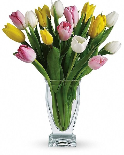 Mixed tulip bouquet in tall clear glass vase