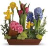 Tulip and hyacinth garden basket arrangement