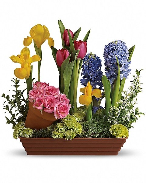 Tulip and hyacinth garden basket arrangement