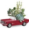 Succulent arrangement in red vintage car planter