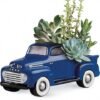 : Succulent plant arrangement in blue decorative truck container