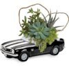 Succulent arrangement in black vintage truck planter