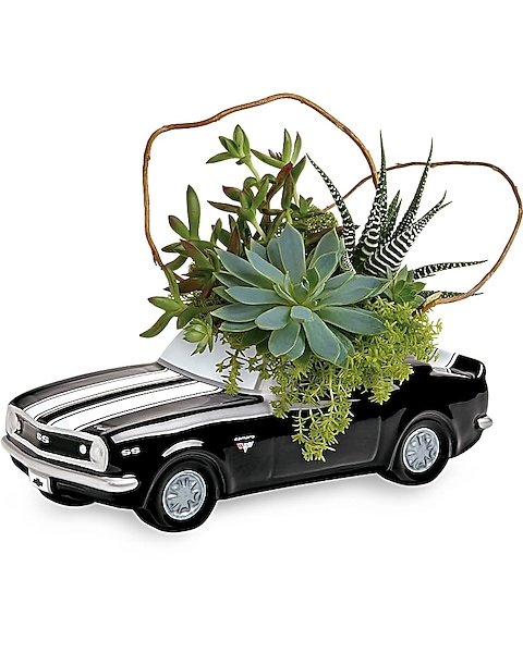 Succulent arrangement in black vintage truck planter