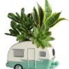 Succulent plant arrangement in decorative camper planter