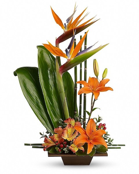 Bird of paradise tropical flower arrangement from Gurnee flower shop