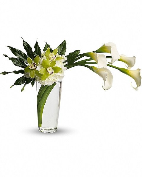 White orchid plant arrangement available for flower delivery Vernon Hills IL