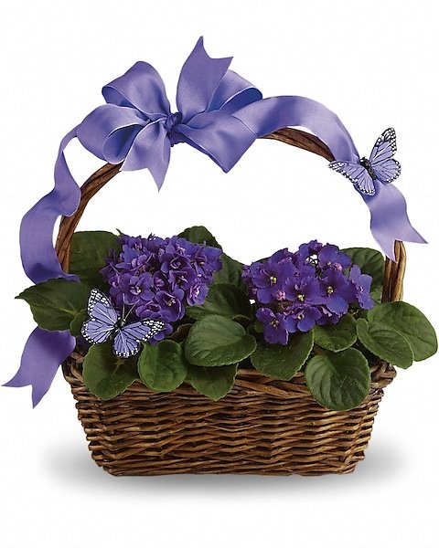 Beautiful basket arrangement with purple hydrangeas from florist in Grayslake IL