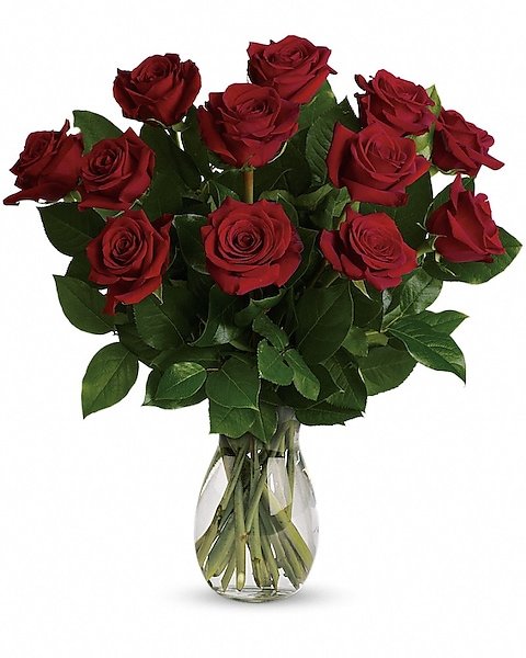 Premium long-stem red rose bouquet for flower delivery Grayslake IL