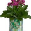Pink flowering kalanchoe plant in mosaic pot