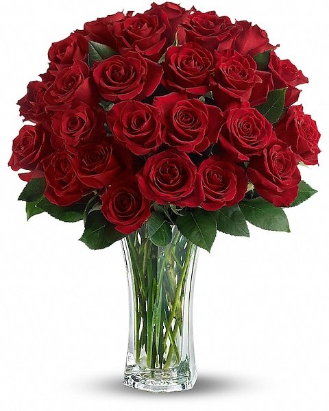 Premium red rose dome arrangement from Gurnee flower shop
