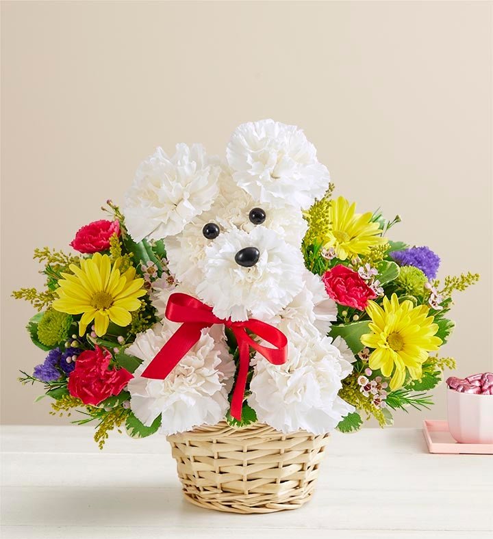 Colorful floral arrangement with roses and daisies for flower delivery Waukegan
