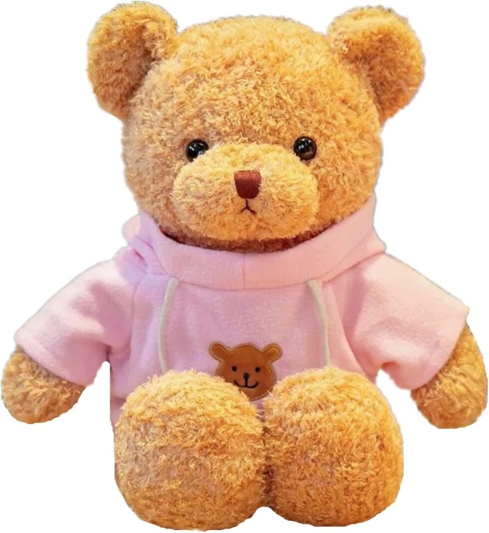 Pink hoodie teddy bear from florist in Vernon Hills IL