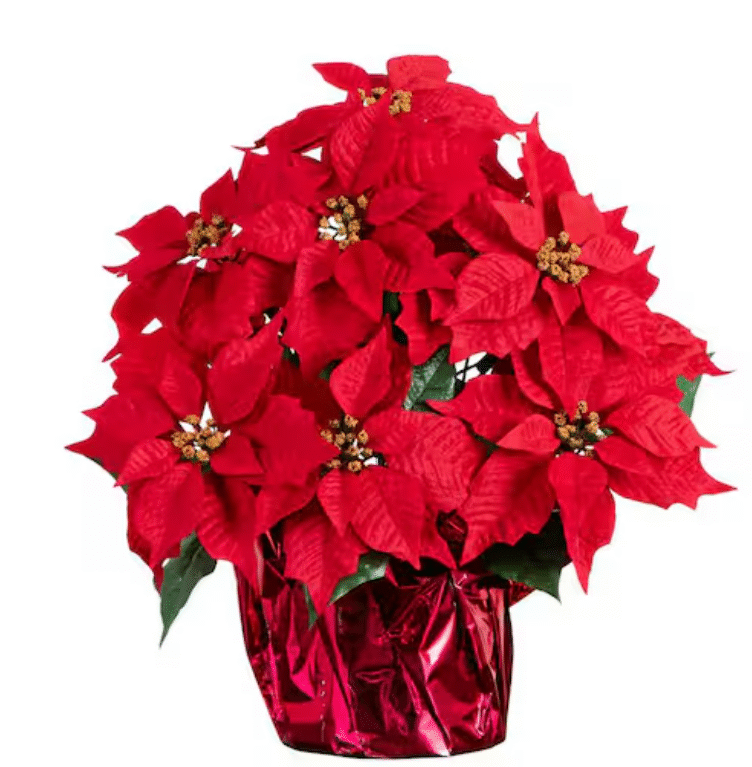 Festive red poinsettia arrangement by florist in Vernon Hills IL