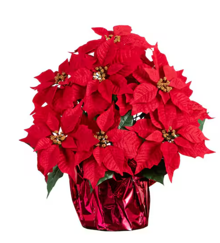 Festive red poinsettia arrangement by florist in Vernon Hills IL